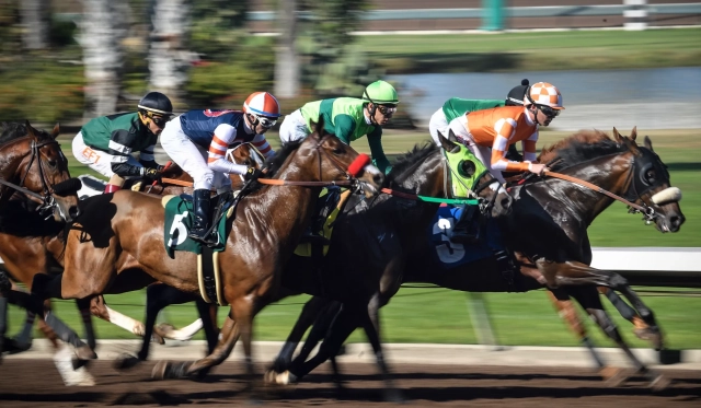 Los-Alamitos-Race-Course